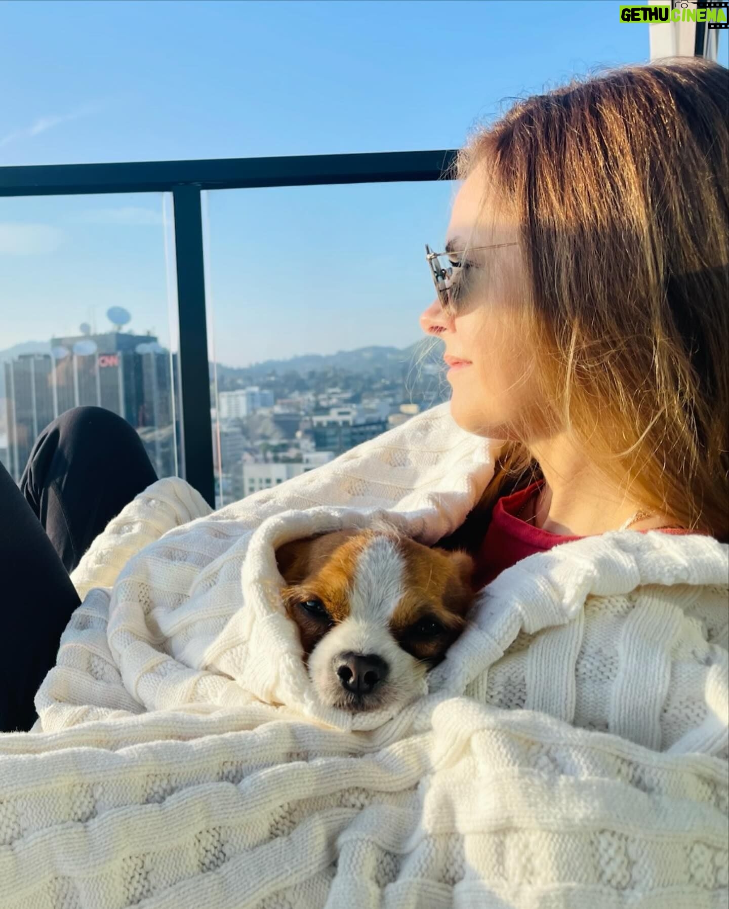 Maggie Lawson - 14.8K Likes - March Madness ✨