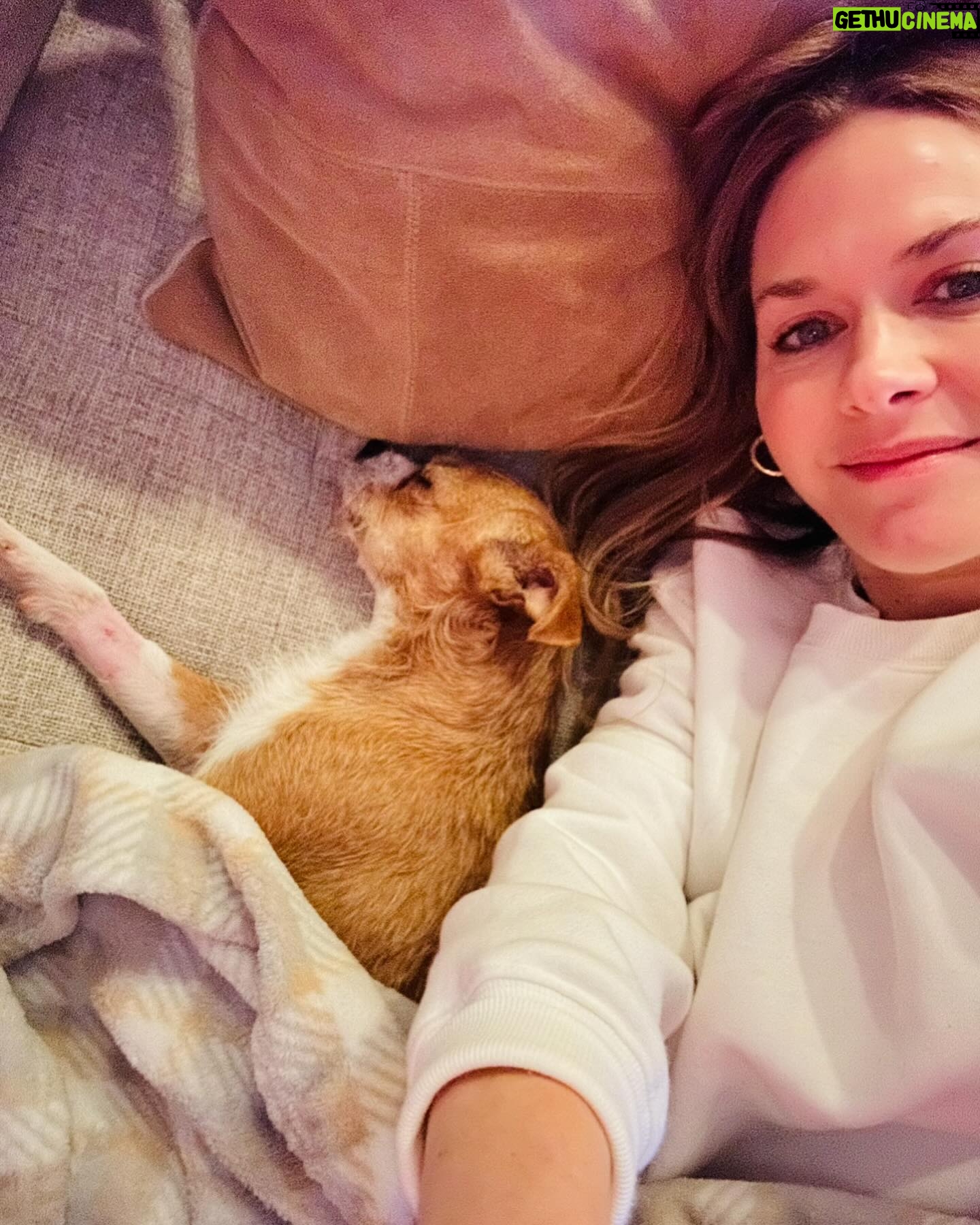 Maggie Lawson - 13.5K Likes - Adopted this little one on Christmas Eve. His name is Linus and I love him so much. ❤️🐾
.
.
.
Thank you @apurposefulrescue for scooping this little angel from the shelter (and for all you do). And thank you @eaglerockpups for fostering and loving him. ❤️❤️