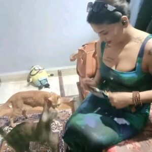 Mahi Kaur Instagram - Meet Micky and Juliet. 
Before getting them i was so sceptical , what if I don't know how to take care of them or love them the way they deserve? What if they don't feel comfortable with me? What if they don't love me back? So many questions and no answer. But since they chose to stay with me everything has changed. Now I'm sure unconditional love exists and we don't always need words to express it. The way they cuddle next to me when I sleep. The way they just sit next to me or kiss my feet when m upset. The way they will their eyes at me. It tells me every minute that I am loved