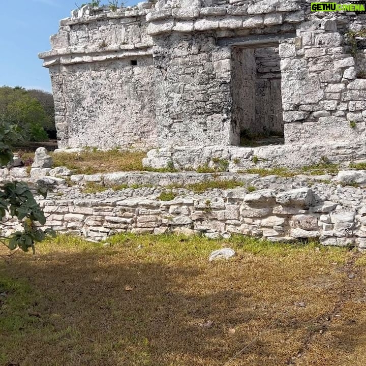 Mahi Masegosa - 5.3K Likes - En Tulum ! El calor que allí pasé no es normal 😂 me sudaron partes del cuerpo que ni sabía que existían !
Gracias a @exotikmayantours por montarnos un día tan divertido ! 🚤🏝️
Mención especial a Pajarito, el guía, del que nos fuimos enamorados 😂