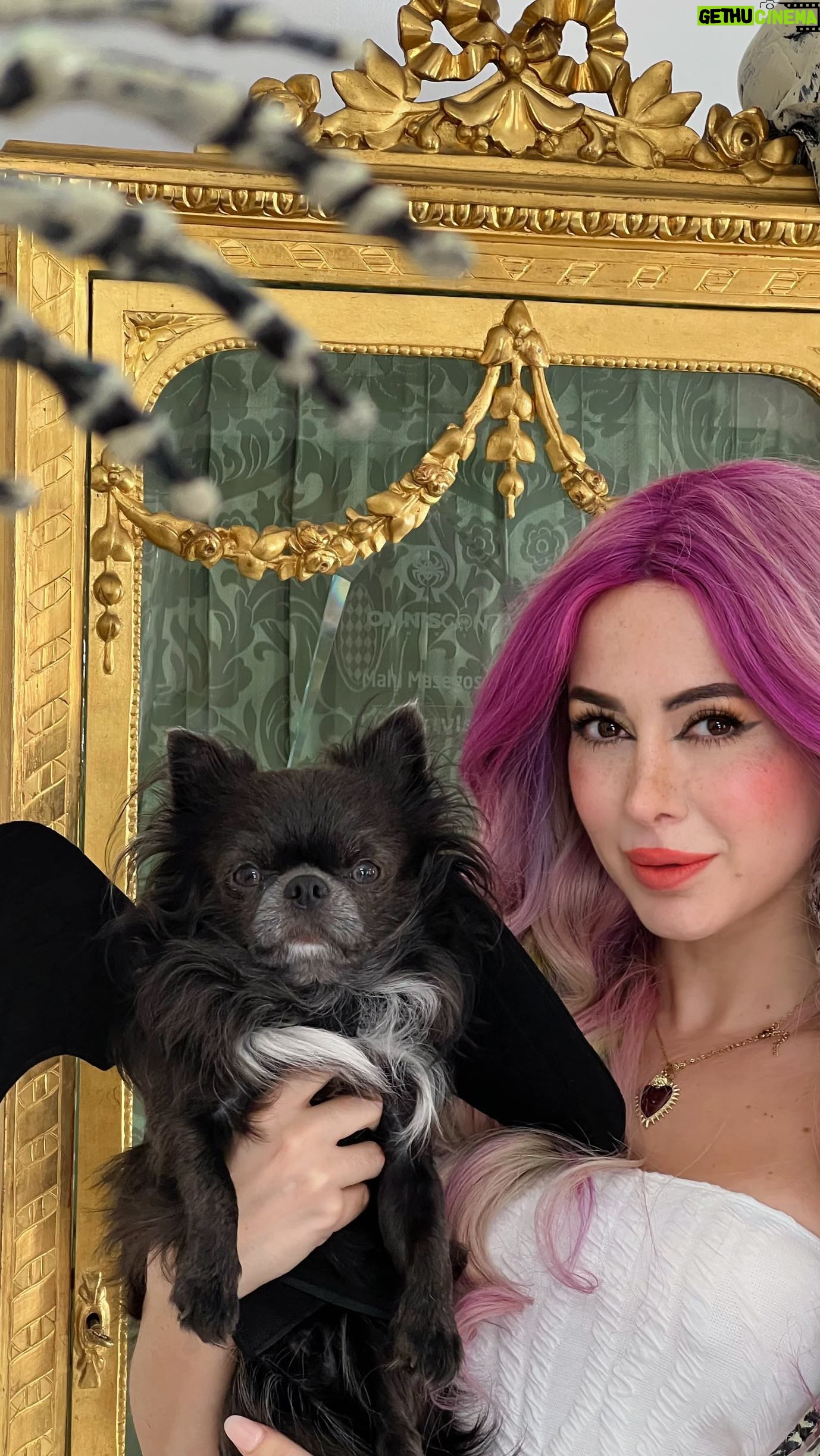 Mahi Masegosa - 4.2K Likes - 🦇Halloween en @sheinofficial !!! 😂 dime si quieres que haga otro vídeo mostrando los disfraces !
Mi código descuento: “Hallows0561”, con el que te harán un descuento adicional 💖 en la web hay rebajas terroríficamente grandes por motivos de la fiesta de Halloween 🧟♂️ #SHEINhalloweenparty #SHEINhalloweenparty
#SHEINhalloweenparty #SHEINforall #loveshein #ad @shein_spain