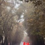 Mahshid Javadi Instagram - . صدای باران تمامِ شب در گوشم نغمه می‌خوانْد ، صبح به نم نم رسیده بود ، ساعت حدود ۷ بود ، باید بیدار می‌شدم ، و سرکار می‌رفتم ، دلم نمی‌آمد لحظه‌‌ها را از دست بدهم ، پاییز می‌رقصید ، به برنامه‌ریز کارمان اطلاع دادم که بعد از تایمِ صبحانه به لوکیشن می‌روم ، قهوه‌ی فوری دم‌ کردم و از زمانِ محدودم که فکر می‌کنم یک ربع بود نهایت استفاده را بردم ، آماده شدم و با قهوه‌ی نصفه به راه افتادم ، خیابان ولیعصر ، پاییز را پاییزتر می‌کند ، زمستانش زمستان‌تر است ، دوستش دارم ، عکس را برداشتم و در طول مسیر ، پاییز را نفس کشیدم . و با چند ساعت فاصله تصمیم گرفتم پست کنم #mahshidjavadi 📷 ✍️