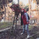Mahshid Javadi Instagram - #winter ♥️