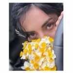 Mahshid Javadi Instagram - . پدرم شعاری داشت: هیچ‌وقت کاری را که دیگران می‌توانند برای تو انجام بدهند، خودت دنبال نکن. می‌گفت کارهای بزرگتری هست که از دست ما برمی‌آید. برشی از رمانِ “چشمهایش”__ بزرگ علوی