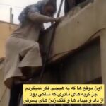Mahshid Khosravi Instagram - الماس حاصل فشارهای سخت است، اگر در خودتان لیاقت الماس شدن می بینید، از فشارهای سخت نترسید یادتون نره شب عید نزدیکه اگه مغازه داری اگه مزون داری اگه تره باری اگه حتی یه سوپر مارکت کوچیک داری از مغازه ات یه سهمی برای بچه های ما کنار بزار قطعا تو هر مغازه لباس فروشی ، هست لباس هایی که از مد افتاده و داره تو انبار ها خاک میخوره بدونید که همون لباس آرزوی خیلی هاست قصابی که گوشت میدی دست مردم نذر کن ماهی یک کیلو گوشت ، نه بیشتر نه کمتر برای بچه های ما بفرستی سوپرمارکتی عزیز نذر کن ماهی دو تا روغن بفرستی فکرشو بکن اگه همه پایه باشن چقدر وسیله جمع میشه؟ چقدر خانواده خوشحال میشه؟ کافیه فقط یه کم ته دلت بلرزه غوغا میشه کمکم نکردی فدا سرت خیریه رو به بقیه معرفی کن یادت نره دوستت دارم ❤️