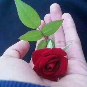 Mahtab Nasirpour Instagram - روزهای سختی پیشِ رویِ ماست. ماییم و دردمندانی که هر روز از کنار هم می¬گذریم: بیمارانی که توانِ پرداخت هزینه¬های بیمارستان را ندارند؛ آنان¬که با سیلی صورتشان را سرخ نگه می¬دارند، همان¬ها که #فقر و #گرسنگی و خانه بدوشی و دربدری همزادشان بوده و هست. و سیلاب زدگان و در راه ماندگان و همسایگانِ بی توش و توان. و خیل عظیم #بیکاران و #کارگران بی¬نشان و #مستاجران بی¬خانما¬ن. و #کارمندان و حقوق بگیران و #بازنشستگان و خرده کاسبانِ دست به دهان که امروز به نفرین کرونا دستشان از کار بازمانده و لاجرم دها¬ن¬هایشان از نان. این جمع را تنها نگذاریم ؛ جمعِ بزرگ بی-کَسان . آنها تنها خدا را دارند و ما را. کَسِ بی¬کَسان باشیم در این روزهای درد و رنج و حرمان... در این نوروزگان.

@mahtabnasirpour.publicpage  @mahtab.nasirpour  @mahtabnasirpour.school  @bazigari_amozesh

#کارگر#کارگران#کارمندان#کارمند#کرونا#عید_نوروز#نیازمندان#نیازمند#سیل#زلزله#مهربان_باشیم#کاسب#دستفروش#بیمار#بیمارستان#دارو#محمد_رحمانیان
#بازيگر 
#هنرمندان#بازيگري #بازيگران_ايراني  #هنرپیشگان