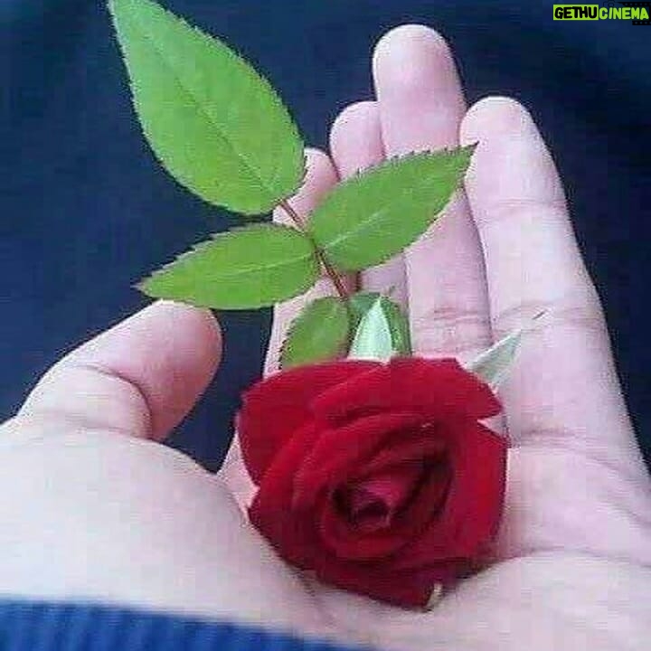 Mahtab Nasirpour - 848 Likes - روزهای سختی پیشِ رویِ ماست. ماییم و دردمندانی که هر روز از کنار هم می¬گذریم: بیمارانی که توانِ پرداخت هزینه¬های بیمارستان را ندارند؛ آنان¬که با سیلی صورتشان را سرخ نگه می¬دارند، همان¬ها که #فقر و #گرسنگی و خانه بدوشی و دربدری همزادشان بوده و هست. و سیلاب زدگان و در راه ماندگان و همسایگانِ بی توش و توان. و خیل عظیم #بیکاران و #کارگران بی¬نشان و #مستاجران بی¬خانما¬ن. و #کارمندان و حقوق بگیران و #بازنشستگان و خرده کاسبانِ دست به دهان که امروز به نفرین کرونا دستشان از کار بازمانده و لاجرم دها¬ن¬هایشان از نان. این جمع را تنها نگذاریم ؛ جمعِ بزرگ بی-کَسان . آنها تنها خدا را دارند و ما را. کَسِ بی¬کَسان باشیم در این روزهای درد و رنج و حرمان... در این نوروزگان.
@mahtabnasirpour.publicpage @mahtab.nasirpour @mahtabnasirpour.school @bazigari_amozesh
#کارگر#کارگران#کارمندان#کارمند#کرونا#عید_نوروز#نیازمندان#نیازمند#سیل#زلزله#مهربان_باشیم#کاسب#دستفروش#بیمار#بیمارستان#دارو#محمد_رحمانیان
#بازيگر
#هنرمندان#بازيگري #بازيگران_ايراني #هنرپیشگان