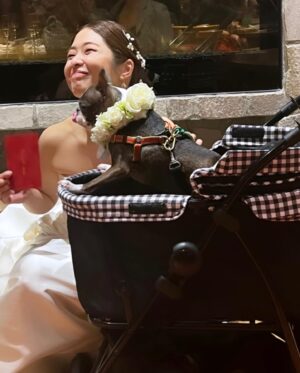 Mai Ishioka Instagram - だいすきなみぃななの結婚パーティ💍✨

みぃなな本当きれいだったよぉおおお😭💓
幸せおすそわけありがとう😍

梅子🐕もきれいだったよ😎

本当におめでとう♡♡