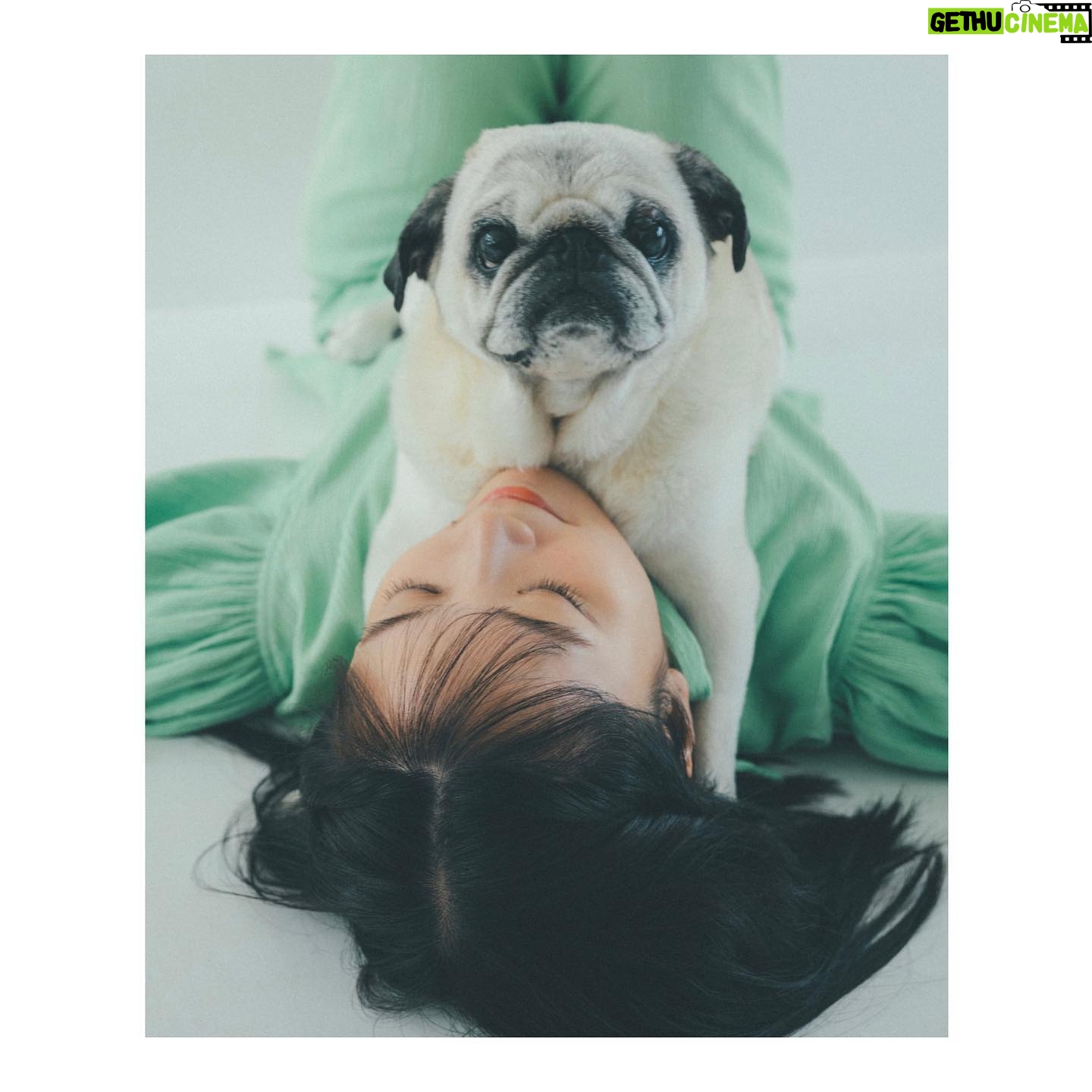 Mai Fukagawa Instagram - お知らせです。 来年もカレンダーを出させていただきます🐶 今回のテーマが、「わんこ×深川」ということで 総勢9匹のわんちゃんが大集合✨ ただただ幸せなモフモフ天国でした…😭 31日間の日めくりになっているので、 2024年に限らず毎月、毎年使える仕様です。 日々の中で大切にしたい一言も写真と一緒に添えさせていただきました。 今回も素敵なチームの皆さまのおかげで、 こだわりと遊び心いっぱいのカレンダーができました〜✨ 2023年11月7日(火)12:00〜受注開始です。 (終了日時:2023年11月17日23:59まで) 詳しくはオフィシャルサイトまでお願いします🏃♀️