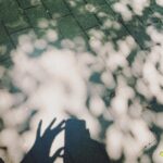 Mai Fukagawa Instagram - ☀️🍃🌈