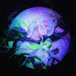 Mai Yoneyama Instagram - METAMORPHOSIS 02 Acliyc,UV print 2024 #art #animeart #acliyc #uvprinting
