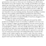 Maiara Walsh Instagram - Moods and excerpts from my novel 🧨⛓️🩸