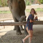 Maja Bohosiewicz Instagram - 🐘 nie mam to nie dam.