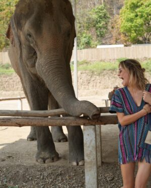 Maja Bohosiewicz Instagram - 🐘 nie mam to nie dam.