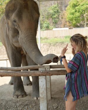 Maja Bohosiewicz Instagram - 🐘 nie mam to nie dam.