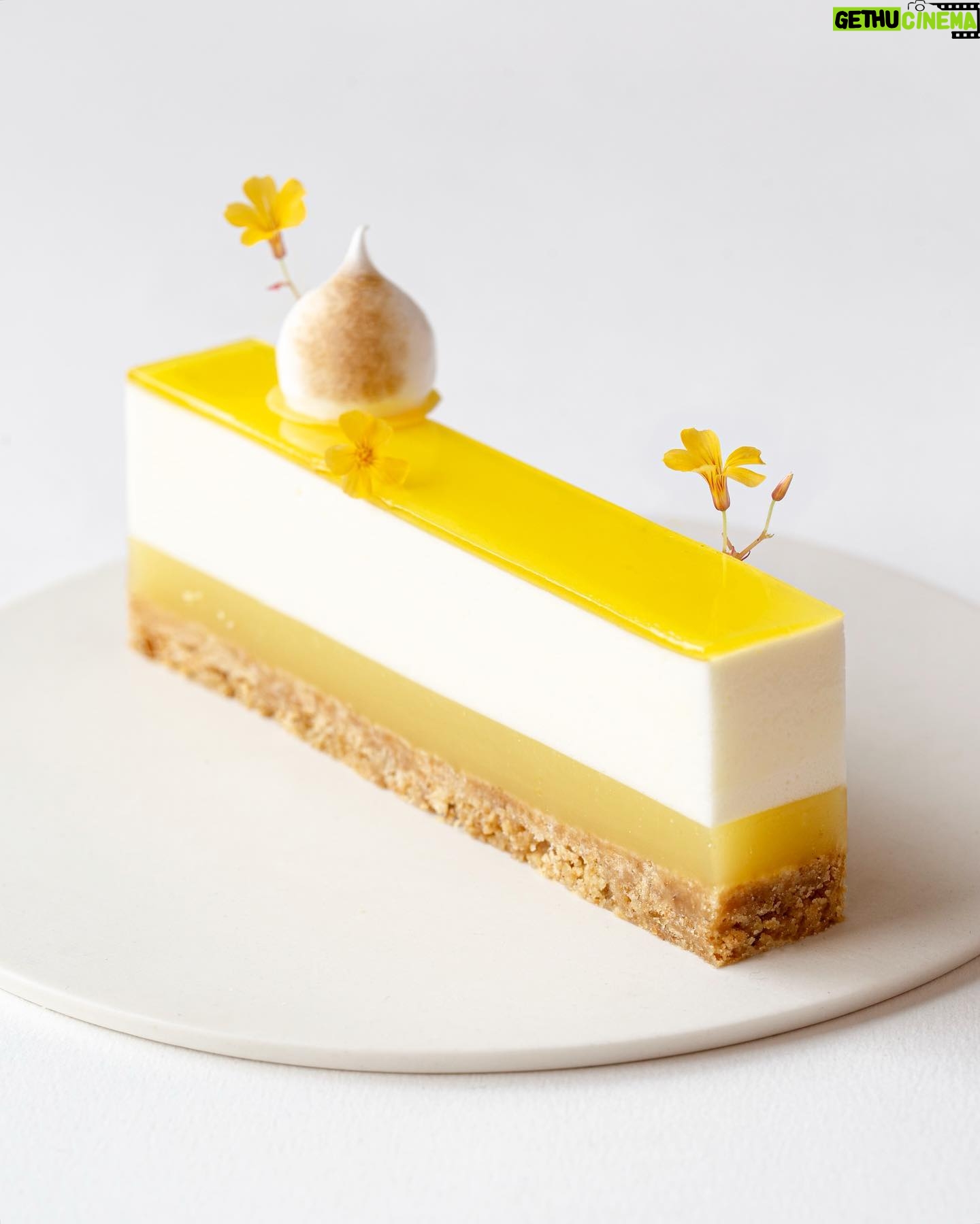 Maja Vase Instagram - Tangy lemon meringue cheesecake 🍋🧀 Any cake hungry neighbours? 💛