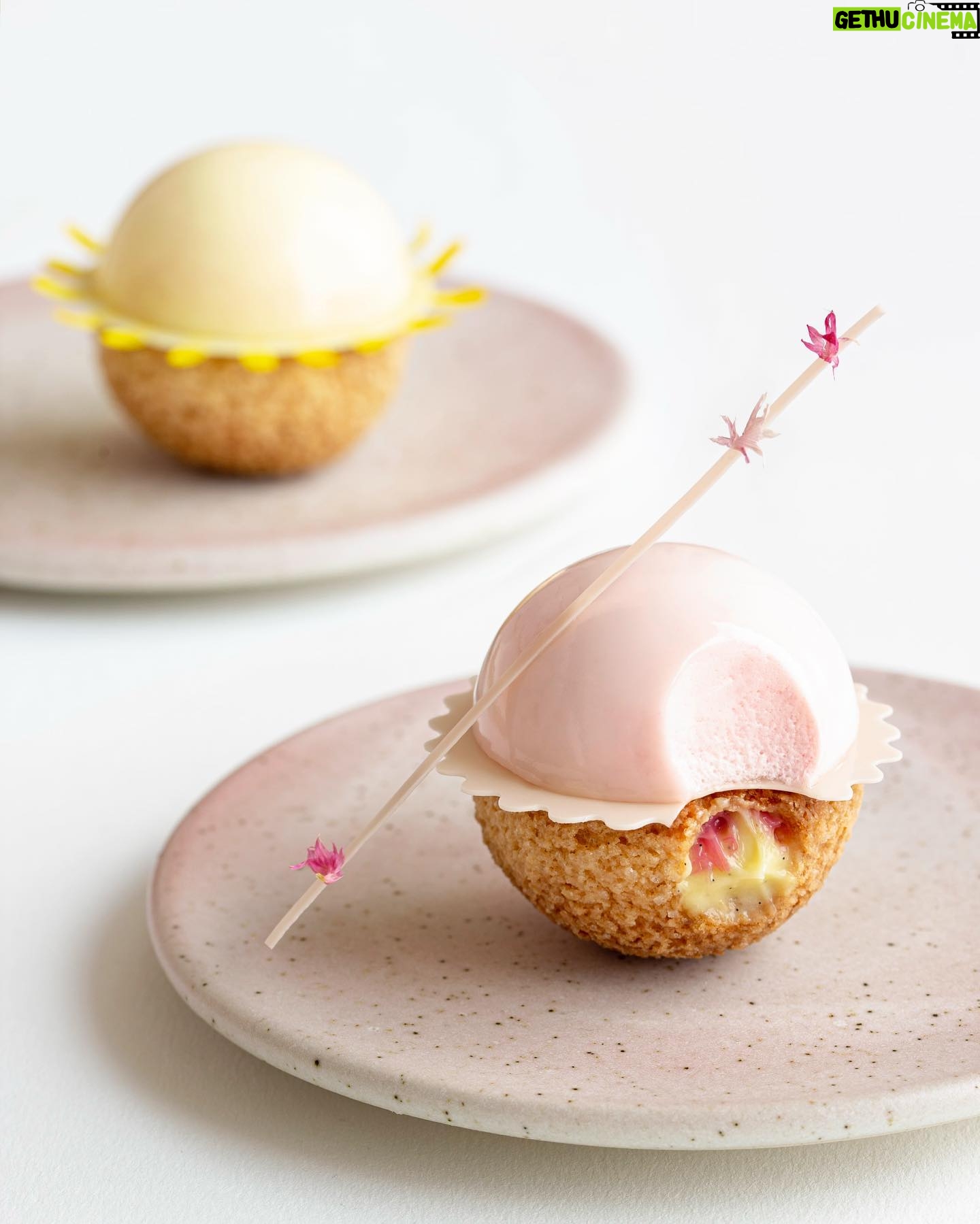 Maja Vase Instagram - Tough choice: Rhubarb vanilla or lemon? 💗🌼 #fastelavnsbolle