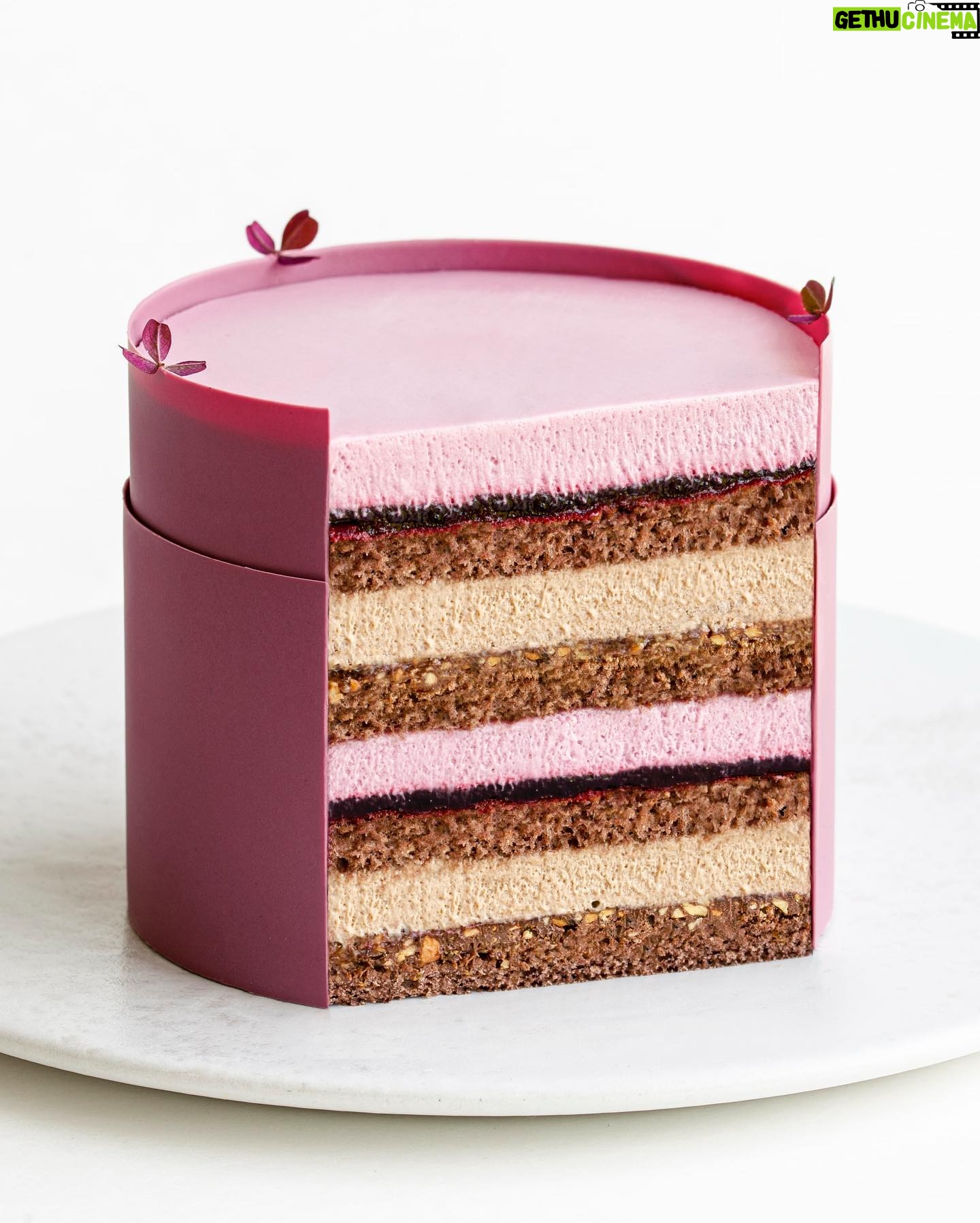 Maja Vase Instagram - 12 layers of blackberry, milk chocolate, and hazelnut ππ° Constantly craving layer cakes - also at Christmas time π€Άπ»π