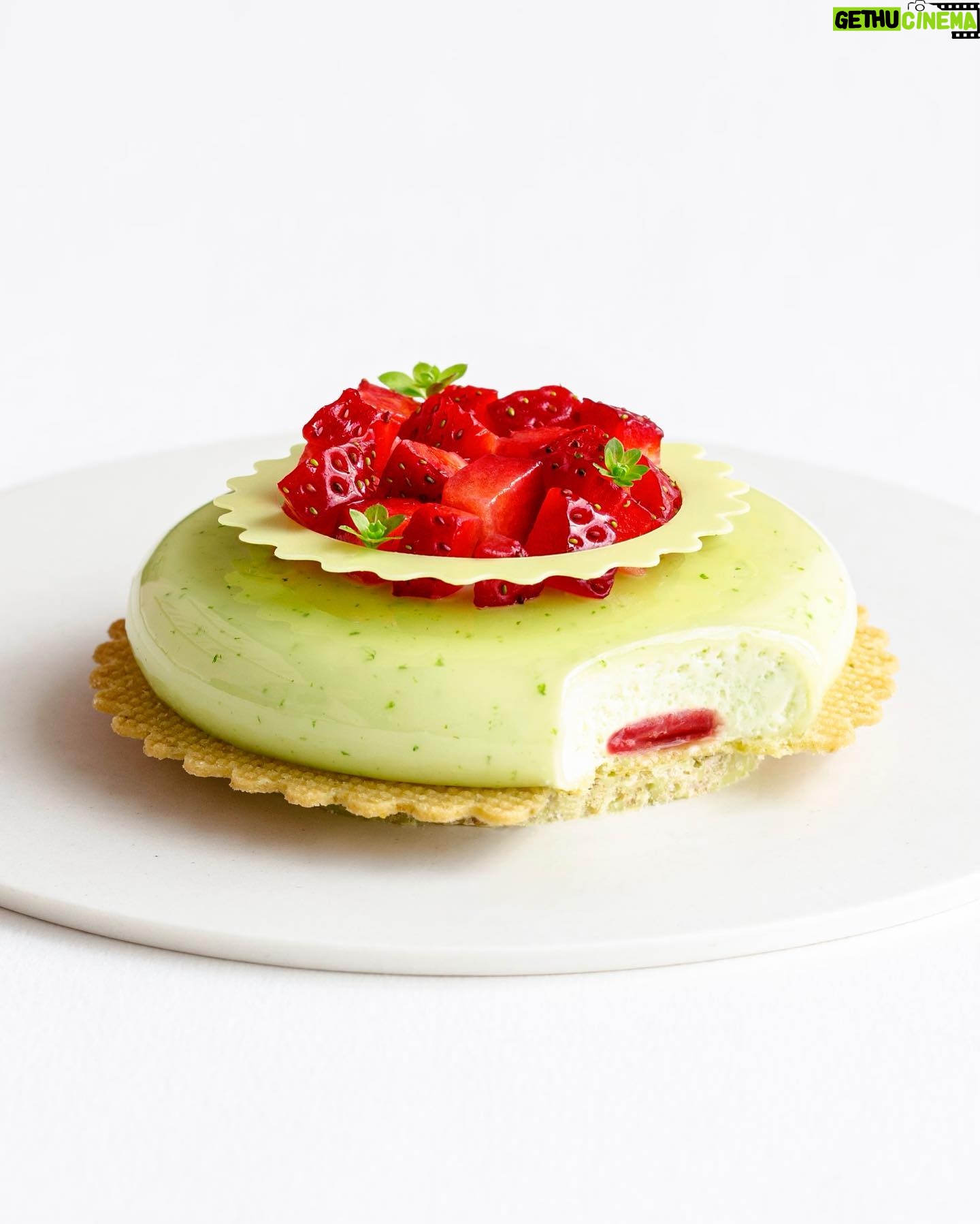 Maja Vase Instagram - Danish strawberries woodruff 🍓🍀 1 or 2? Which is your favourite?