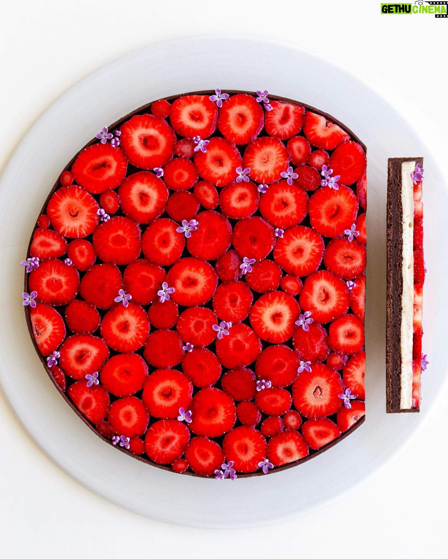 Maja Vase Instagram - Strawberry tart XL 🍓 with soft vanilla pastry cream and fudgy brownie 🙉 Hit the ❤️ for recipe!
