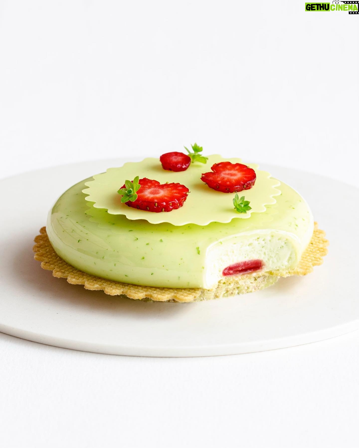 Maja Vase Instagram - Danish strawberries woodruff 🍓🍀 1 or 2? Which is your favourite?