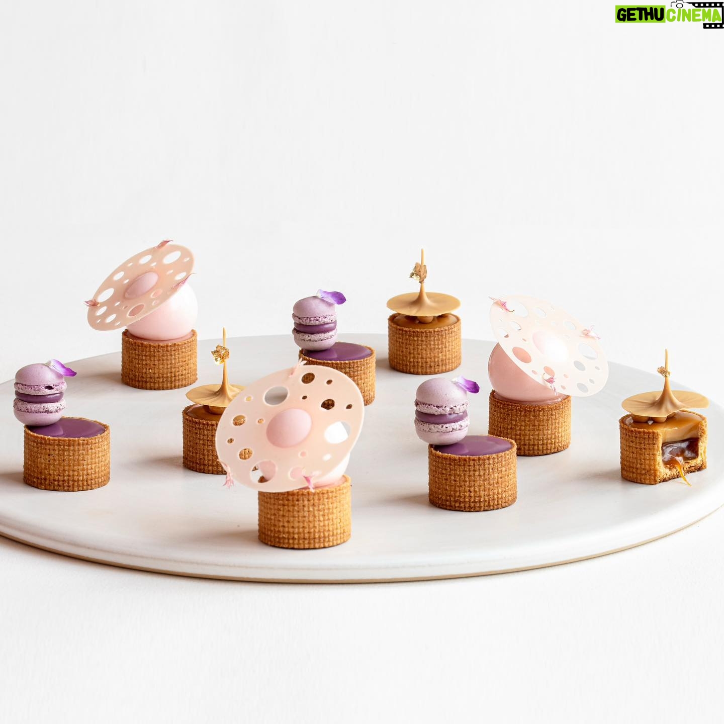 Maja Vase Instagram - Tiny tart tapas 💕 Cute, bite-sized tarts with cherry, blueberry, and salted caramel ✨ Which one would you choose? 🤷🏼♀️