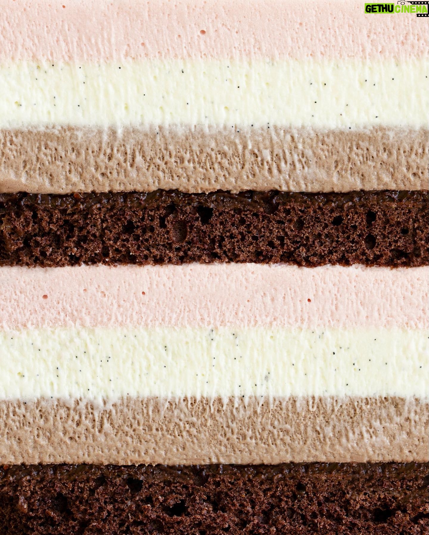 Maja Vase Instagram - Strawberry vanilla chocolate 💘 Neapolitan layer cake 🌈 My little loves were thrilled! Recipe? 💗