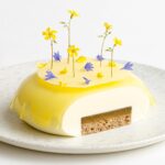 Maja Vase Instagram - Tangy lemon cheesecake all dressed up 🍋🧀👗 Crunchy, creamy, and crazy delicious 👌🏻 Who loves cheesecake? 🙋🏼‍♀️