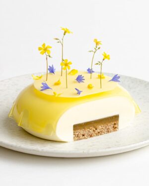 Maja Vase Instagram - Tangy lemon cheesecake all dressed up 🍋🧀👗 Crunchy, creamy, and crazy delicious 👌🏻 Who loves cheesecake? 🙋🏼‍♀️
