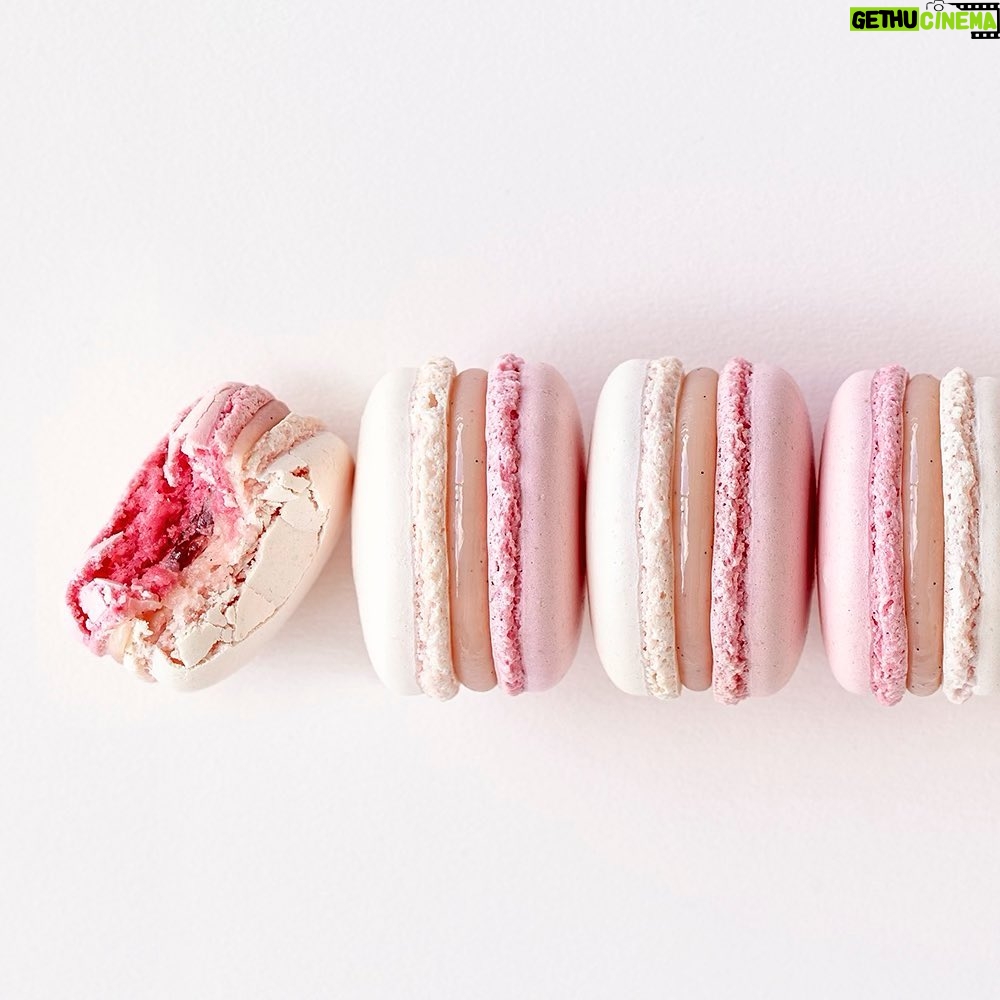 Maja Vase Instagram - Rhubarb vanilla love 💘 #springmacarons #rabarberkoldskål