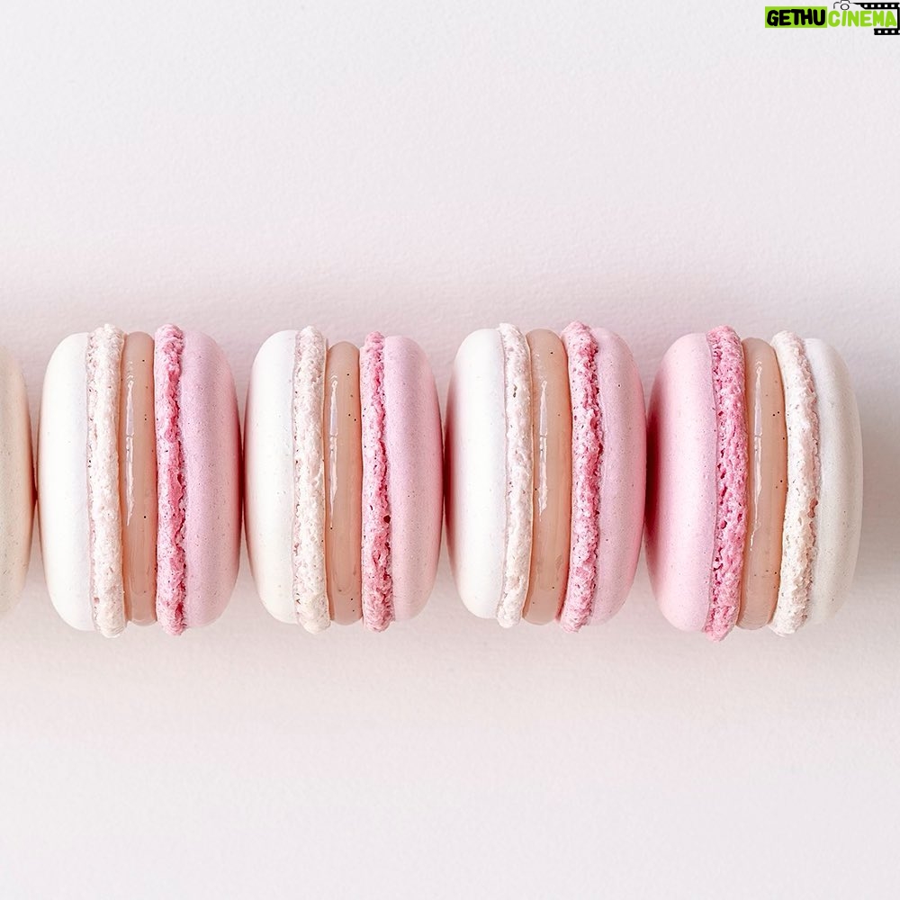 Maja Vase Instagram - Rhubarb vanilla love 💘 #springmacarons #rabarberkoldskål