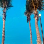Makayla Rose Hilli Instagram - | mang bolee sok ngebaca kyk ginii?? || ☀️📖🌴- @dhona_rianie @bherthatha