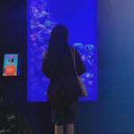Makayla Rose Hilli Instagram - 🐟 - #aquarium #aesthetic #masyallahtabarakallah #pintrest #ootd #wickedgame