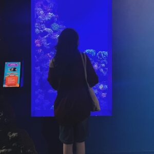 Makayla Rose Hilli Instagram - 🐟 - #aquarium #aesthetic #masyallahtabarakallah #pintrest #ootd #wickedgame