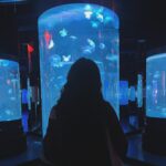 Makayla Rose Hilli Instagram - 🐟 - #aquarium #aesthetic #masyallahtabarakallah #pintrest #ootd #wickedgame