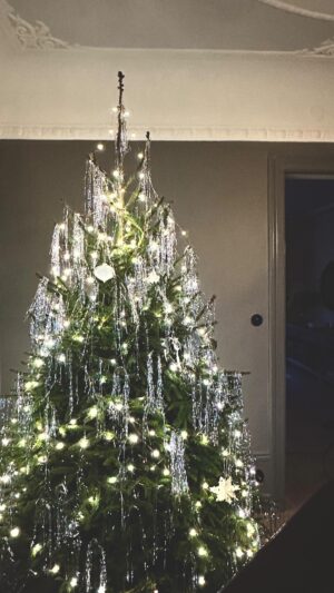 Malin Persson Instagram - Granen är inne och klädd, kidsen var först skeptiska men frågan ligger nu hos er:
Föredrar ni med eller utan lametta?

#hyggehome #christmasdecor #christmastree #christmasdrecorations #lametta #silverchristmastrees #scandichristmas