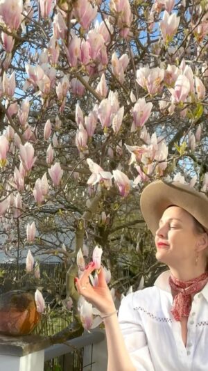 Malin Persson Instagram - Min magnolia är inte bara vacker, den smakar gott också! Jag picklar, använder i desserter och i sallader. Har ni provat Magnolia? 
Mmmmm delicious! 

#magnolia #foraging #cinematic #elegantstyle  #maximalistinteriors #myhyggegarden #eatableflowers #flowers #eatablegarden #gardeninspiration #countryliving #instagramstoryideas #homedecor #asteteticfilm #seasonpoetry #romanticizeyourlife #hyggehome #skandinavianhome #cozyhome #myhomestyle #vintagehomedecor @k.lagerqvist