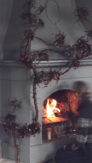 Malin Persson Instagram - I förra årets maffiga Mantlepiece använde jag mig av en övervuxen klätterhortensia. Älskar att gå ut i trädgården och hitta något att skapa med. 
Och snart är det dags för den öppnaspisen att träda fram i sin julskrud! 
Har ni några förslag på växter jag skulle kunna använda i år?

#christmasdecor #christmas #fireplace #mantledecor #mantlepiece #hygge #scandinavianhome #scandinavianchristmas #diy #juldekoration #homesweethome #interiorstyling #homeinterior #hyggehome #myhyggehome #advent #