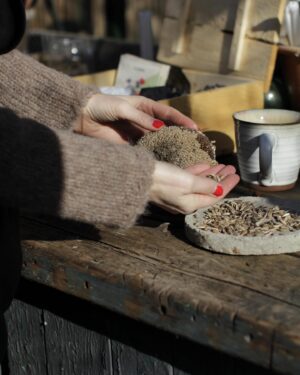 Malin Persson Instagram - Dagarna i växthuset med varm vårsol på ryggen. 
En bra podd i öronen medan frön kommer i jorden och en god kopp kaffe på det. 

Min fråga är: Finns det något mysigare?
