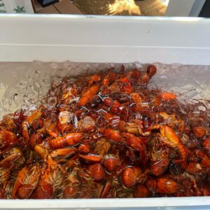 Malin Åkerman Instagram - #tbt to when my sister @iamfinalchild and her hubby @thetompayne threw a Swedish crawfish party 🦞 here in LA! It was a blast!! #kräftskiva #party #sweden