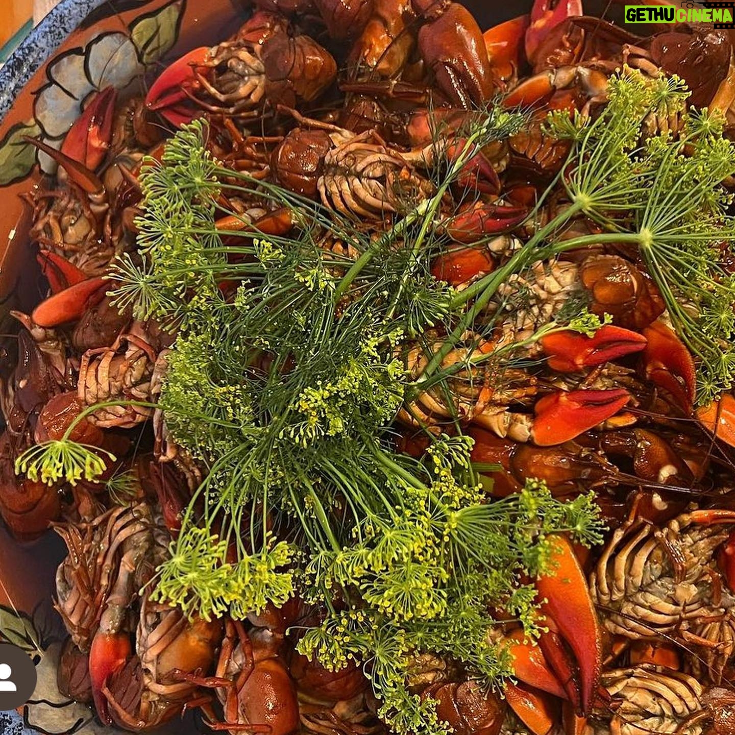 Malin Åkerman Instagram - #tbt to when my sister @iamfinalchild and her hubby @thetompayne threw a Swedish crawfish party 🦞 here in LA! It was a blast!! #kräftskiva #party #sweden