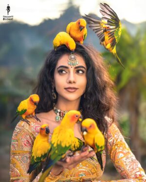 Malina Instagram - A Visual Treat !! ❤️📸 Shot by @prashanth_bionic team. 😄

Drop your Favourites as Shares! 😍🥱

A Pre visualised scene I had in my mind for years now. An idea I was so excited and pumped to shoot, happy to have executed it in 1-2 hours of time we got to shoot this. :) 

For Shoots, DM/Email us. 
#BIONICPHOTOGRAPHY

Muse @actor_malina
Designer @akilaminnu @minnus_boutique
Make up @pavihairandmakeup

#Indianwedding #teambionic #modelshoot  #indianphotography
#love #weddingphotography #bts #indianphotography #creativity #tamilbgm #tamilreels #tamilcinema