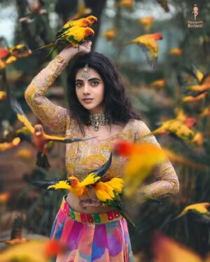 Malina Instagram - A Visual Treat !! ❤️📸 Shot by @prashanth_bionic team. 😄

Drop your Favourites as Shares! 😍🥱

A Pre visualised scene I had in my mind for years now. An idea I was so excited and pumped to shoot, happy to have executed it in 1-2 hours of time we got to shoot this. :) 

For Shoots, DM/Email us. 
#BIONICPHOTOGRAPHY

Muse @actor_malina
Designer @akilaminnu @minnus_boutique
Make up @pavihairandmakeup

#Indianwedding #teambionic #modelshoot  #indianphotography
#love #weddingphotography #bts #indianphotography #creativity #tamilbgm #tamilreels #tamilcinema