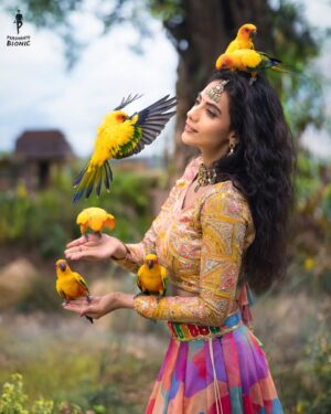 Malina Instagram - A Visual Treat !! ❤️📸 Shot by @prashanth_bionic team. 😄

Drop your Favourites as Shares! 😍🥱

A Pre visualised scene I had in my mind for years now. An idea I was so excited and pumped to shoot, happy to have executed it in 1-2 hours of time we got to shoot this. :) 

For Shoots, DM/Email us. 
#BIONICPHOTOGRAPHY

Muse @actor_malina
Designer @akilaminnu @minnus_boutique
Make up @pavihairandmakeup

#Indianwedding #teambionic #modelshoot  #indianphotography
#love #weddingphotography #bts #indianphotography #creativity #tamilbgm #tamilreels #tamilcinema