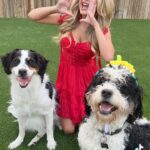 Mallory James Mahoney Instagram - Guess who’s 1? ❤️🐶❤️ #happybirthday Penalty Killer! @lord.stanley.and.pk