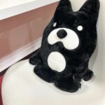 Manaka Shida Instagram - 🖤🐻