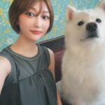 Manaka Shida Instagram - ずっと行きたかった大型犬カフェ🦮 推しのリグルくん膝枕で寝るのが好きらしい☺︎ 皆んな人懐っこくて沢山モフモフさせてくれた🩵 #大型犬 #大型犬カフェ #grandmou
