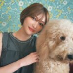 Manaka Shida Instagram - ずっと行きたかった大型犬カフェ🦮 推しのリグルくん膝枕で寝るのが好きらしい☺︎ 皆んな人懐っこくて沢山モフモフさせてくれた🩵 #大型犬 #大型犬カフェ #grandmou