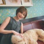 Manaka Shida Instagram - ずっと行きたかった大型犬カフェ🦮 推しのリグルくん膝枕で寝るのが好きらしい☺︎ 皆んな人懐っこくて沢山モフモフさせてくれた🩵 #大型犬 #大型犬カフェ #grandmou