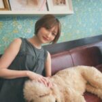 Manaka Shida Instagram - ずっと行きたかった大型犬カフェ🦮 推しのリグルくん膝枕で寝るのが好きらしい☺︎ 皆んな人懐っこくて沢山モフモフさせてくれた🩵 #大型犬 #大型犬カフェ #grandmou